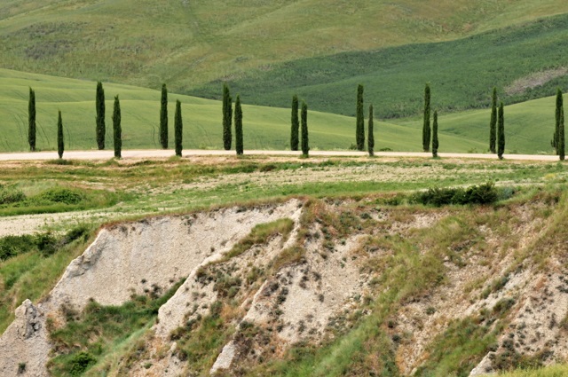 Crete senesi - mesa�n� krajina so zelen�mi cyprusmi (im)